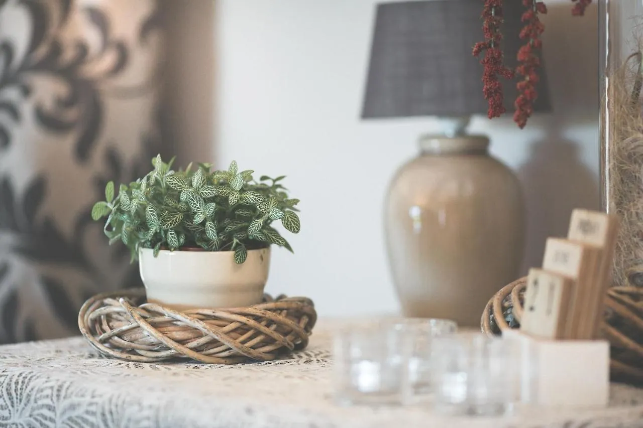 B&B Nieuwhof Gistel Bed & Breakfast